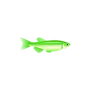 Green GloFish